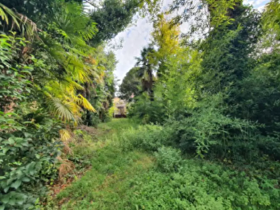 Immagine 4 di Appartamento in vendita  in Via Udine a Cormons