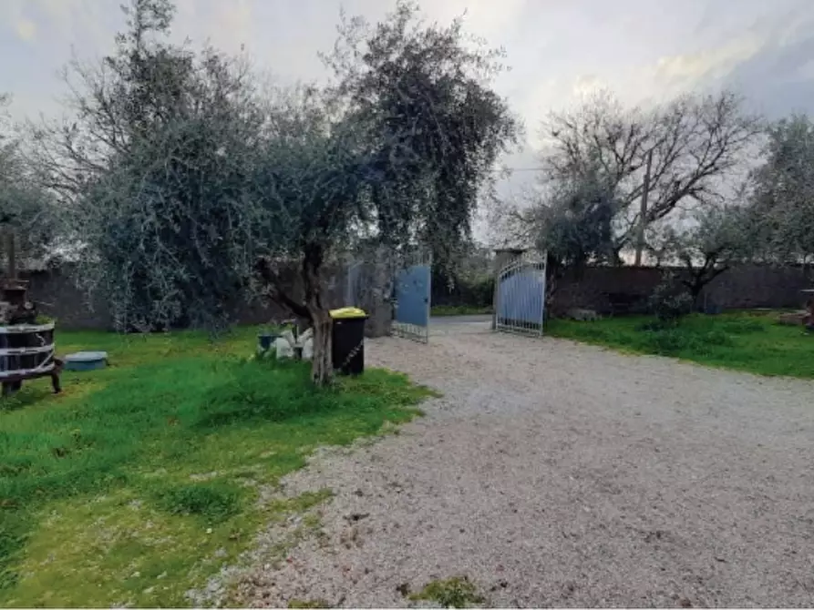 Immagine 2 di Villa in vendita  in Via Montegiove Vecchio a Genzano Di Roma