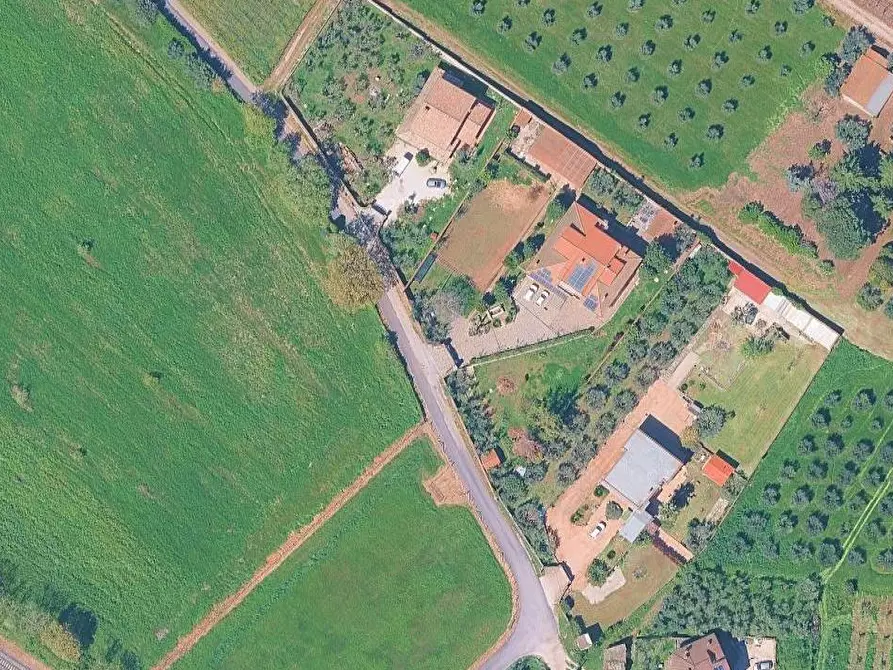 Immagine 19 di Villa in vendita  in Via Montegiove Vecchio a Genzano Di Roma