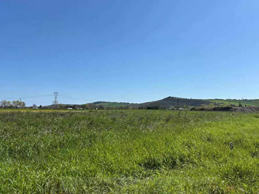 Immagine 1 di Terreno agricolo in vendita  in Via Piagiolino a Monte Porzio