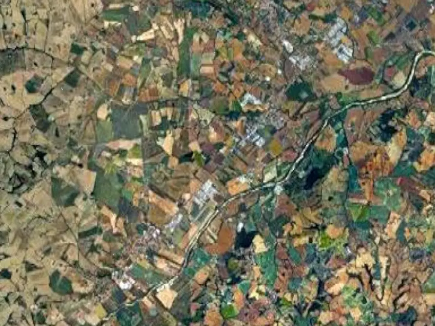 Immagine 2 di Terreno agricolo in vendita  in Via Piagiolino a Monte Porzio