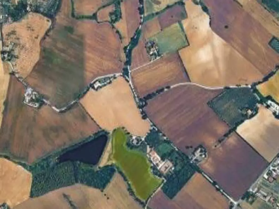 Immagine 3 di Terreno agricolo in vendita  in Via Piagiolino a Monte Porzio