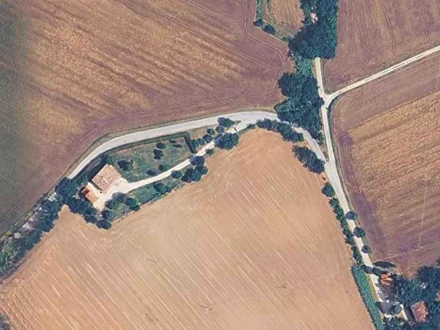 Immagine 4 di Terreno agricolo in vendita  in Via Piagiolino a Monte Porzio