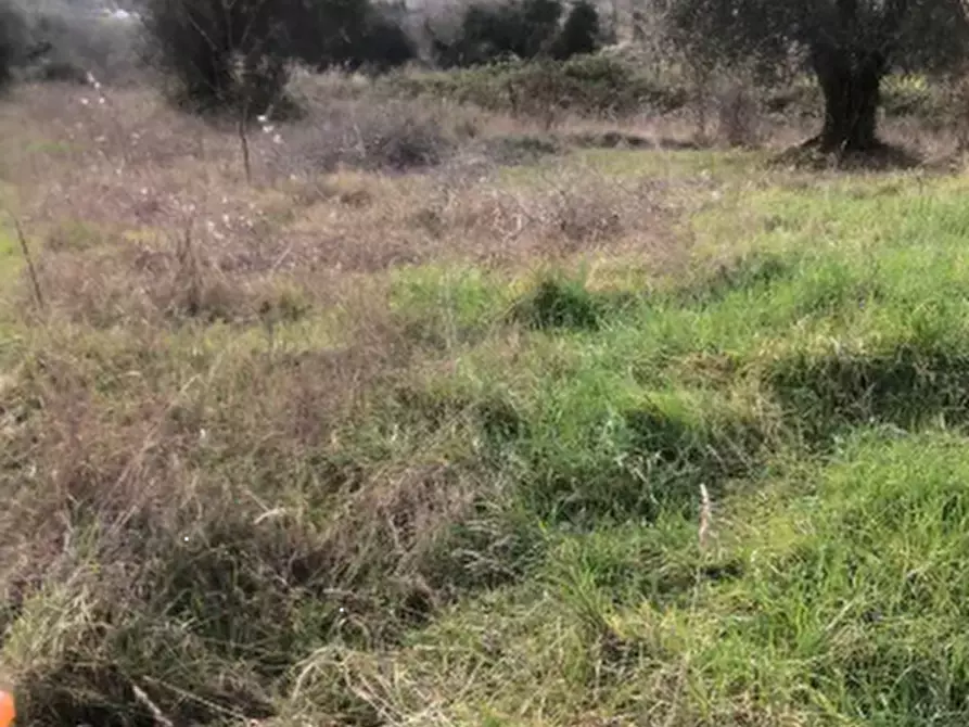 Immagine 1 di Terreno edificabile in vendita  in Via San Savino Granarola a Gradara