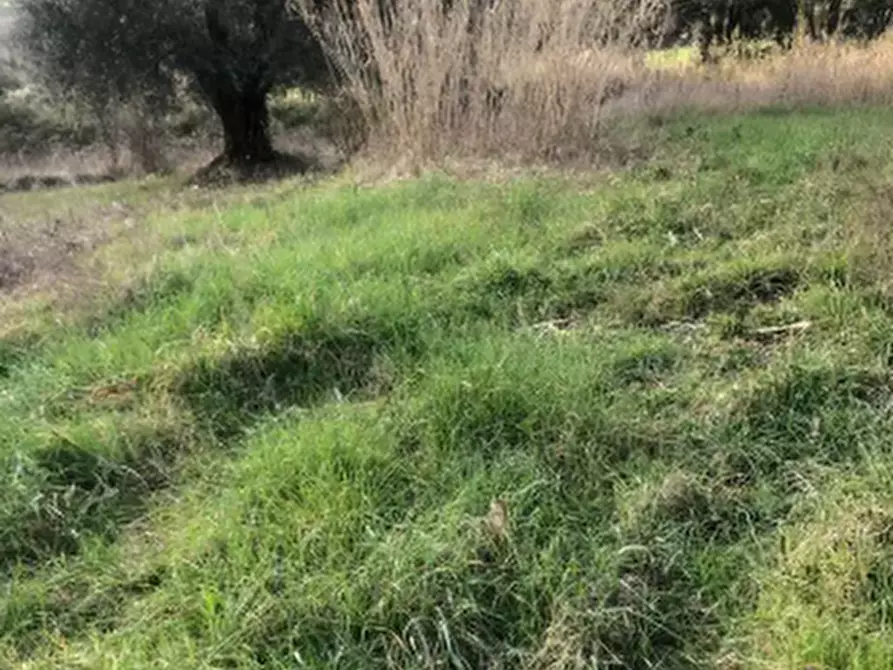 Immagine 2 di Terreno edificabile in vendita  in Via San Savino Granarola a Gradara
