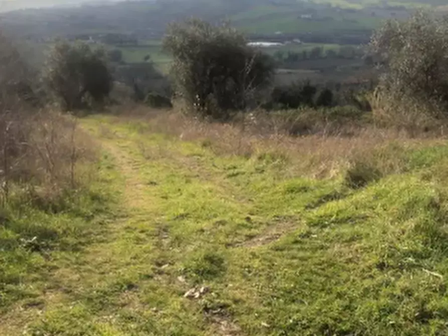 Immagine 3 di Terreno edificabile in vendita  in Via San Savino Granarola a Gradara
