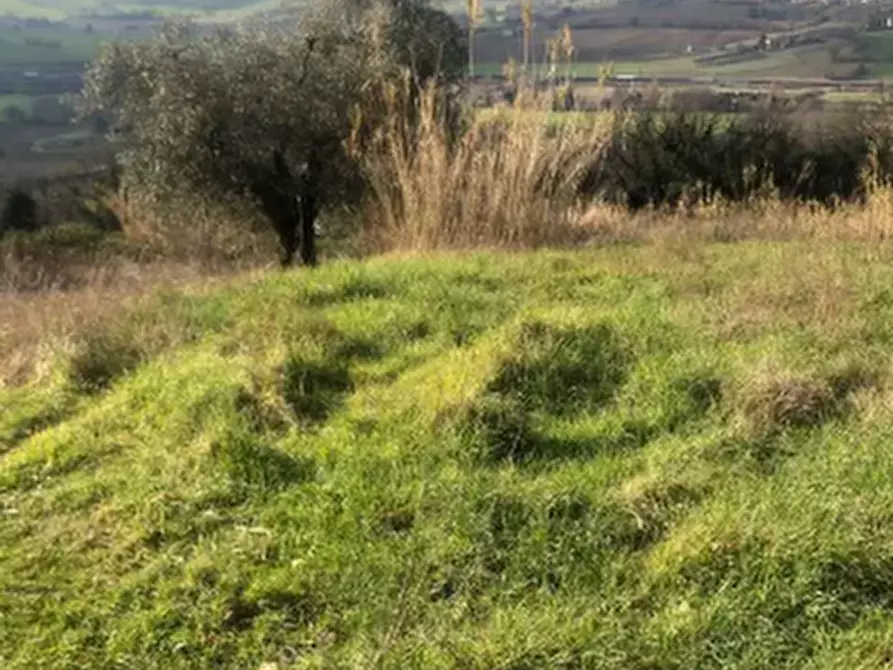 Immagine 4 di Terreno edificabile in vendita  in Via San Savino Granarola a Gradara