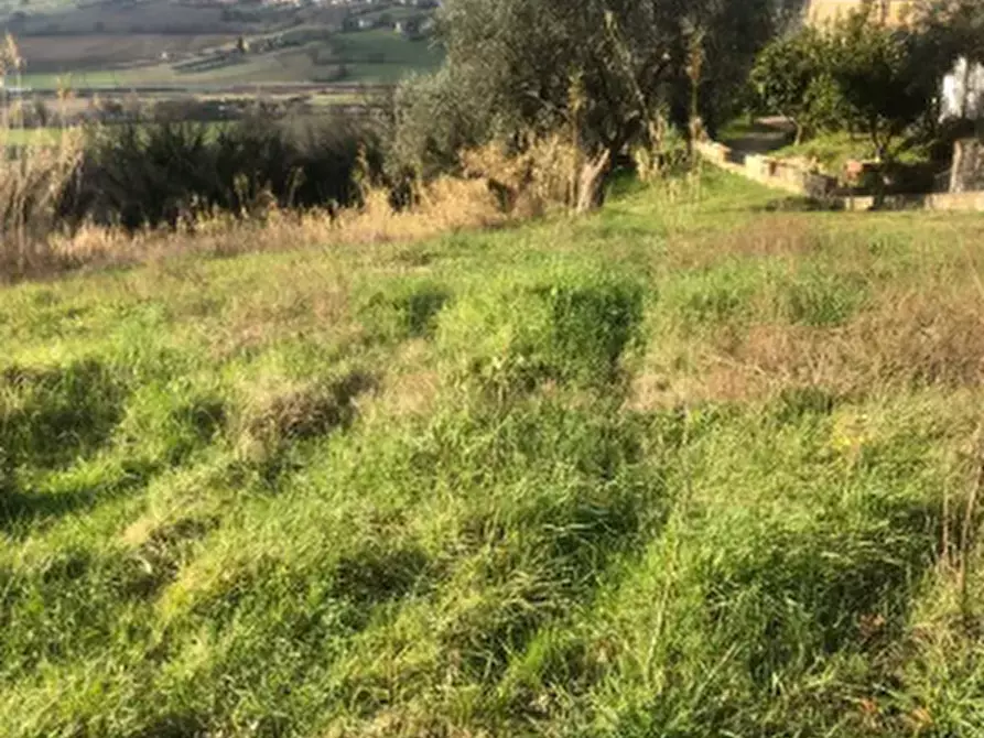 Immagine 5 di Terreno edificabile in vendita  in Via San Savino Granarola a Gradara