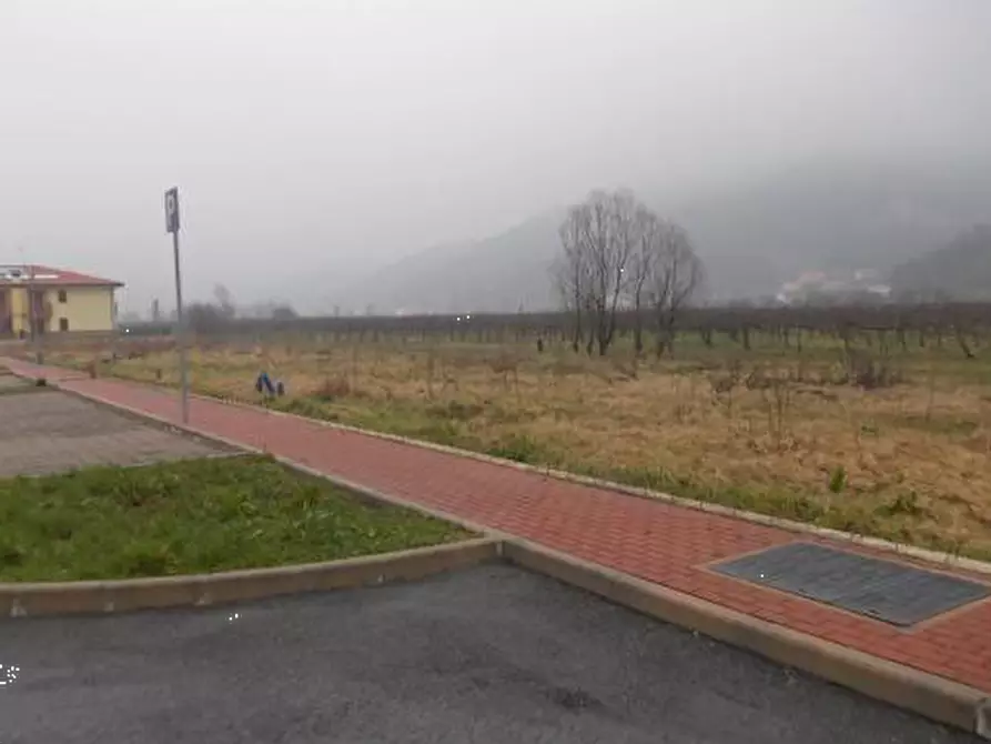 Immagine 4 di Terreno agricolo in vendita  in Via Dei Roveri a San Martino Di Lupari