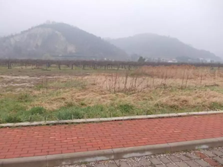 Immagine 5 di Terreno agricolo in vendita  in Via Dei Roveri a San Martino Di Lupari
