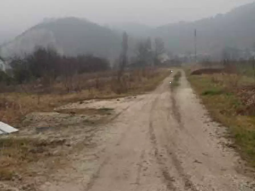 Immagine 7 di Terreno agricolo in vendita  in Via Dei Roveri a San Martino Di Lupari