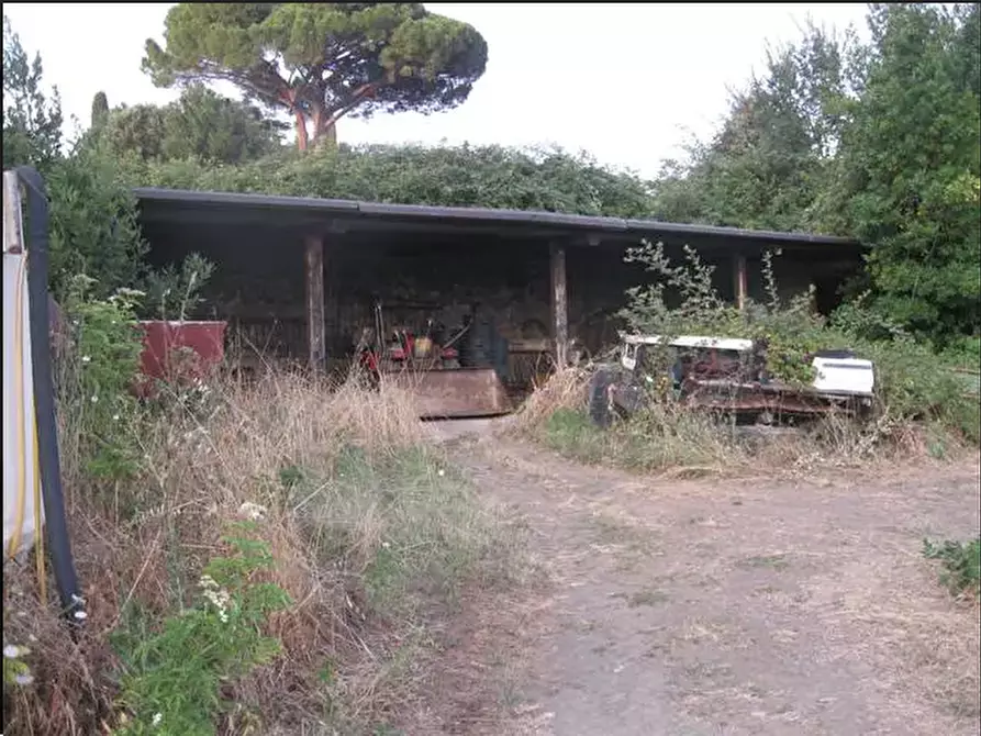 Immagine 9 di Terreno agricolo in vendita  in Via Anagnina a Grottaferrata