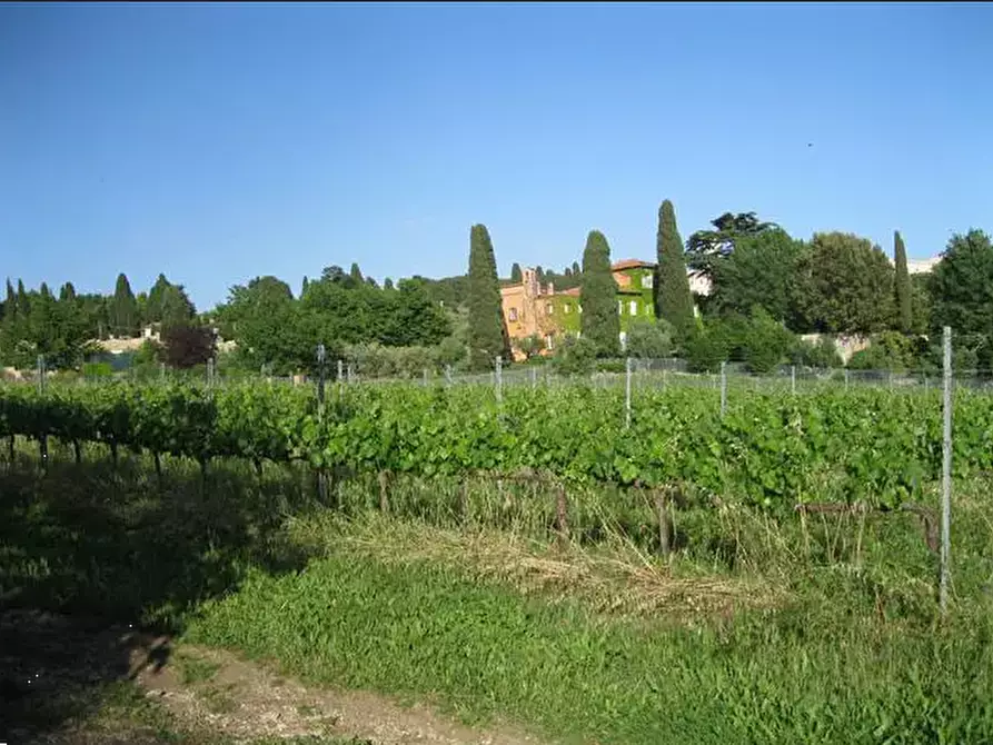 Immagine 10 di Terreno agricolo in vendita  in Via Anagnina a Grottaferrata