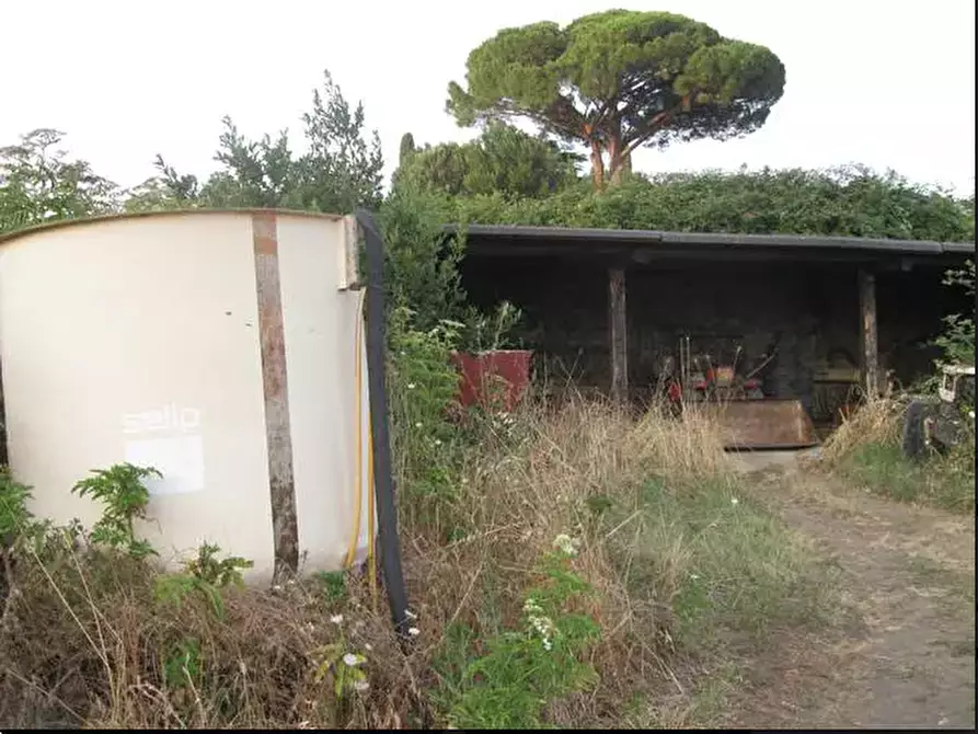 Immagine 11 di Terreno agricolo in vendita  in Via Anagnina a Grottaferrata