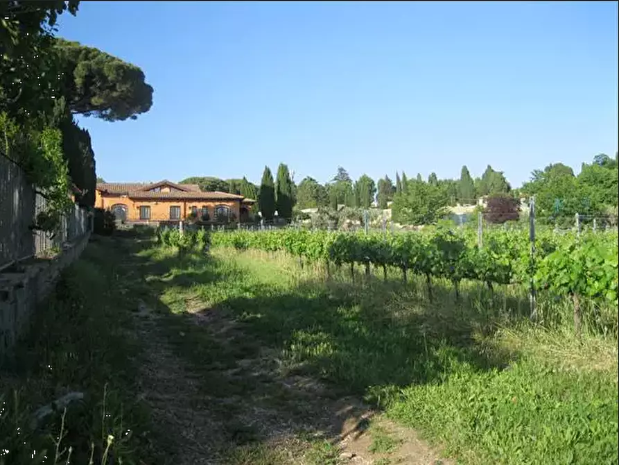 Immagine 12 di Terreno agricolo in vendita  in Via Anagnina a Grottaferrata