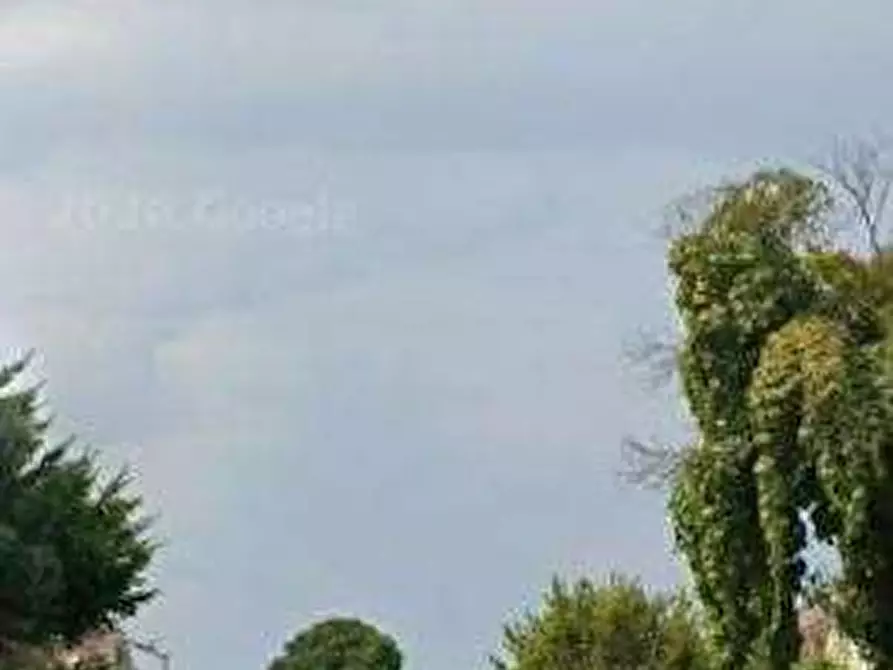 Immagine 9 di Villa in vendita  in Via Pistoia a Ardea