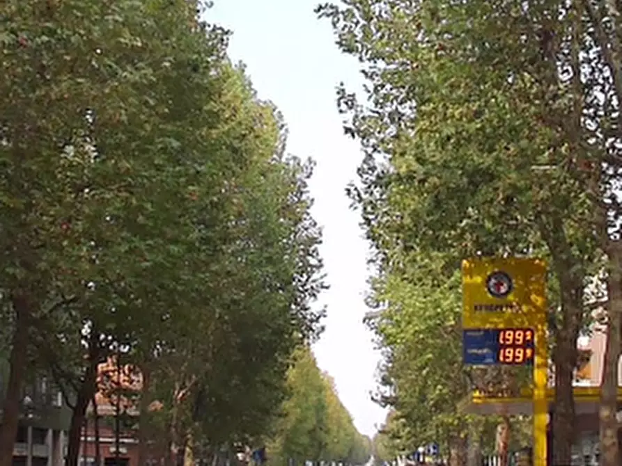 Immagine 11 di Ufficio in vendita  in Viale Fratelli Casiraghi a Sesto San Giovanni