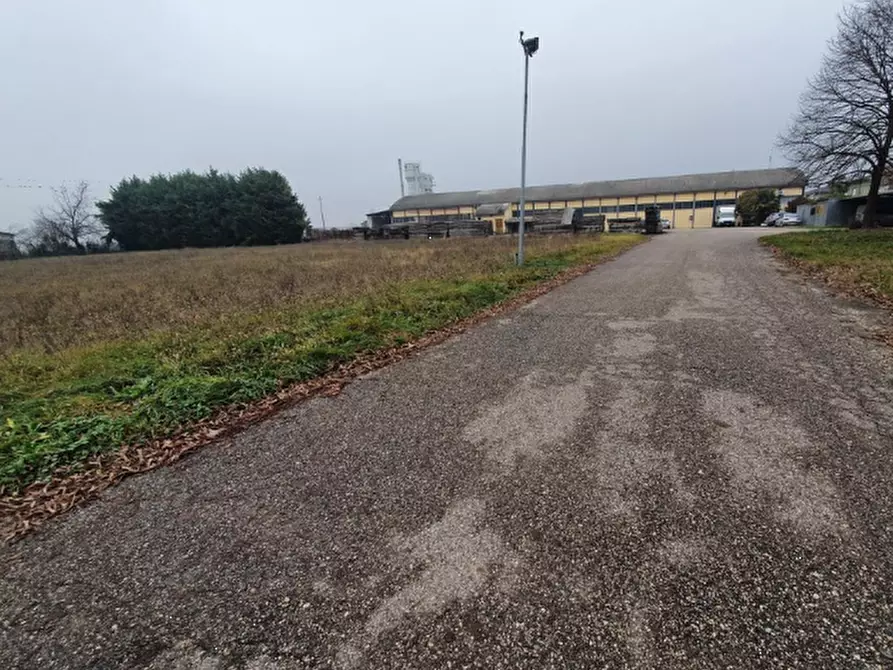 Immagine 4 di Terreno edificabile in vendita  in Via Aurelio Gobetti a San Pietro Di Morubio