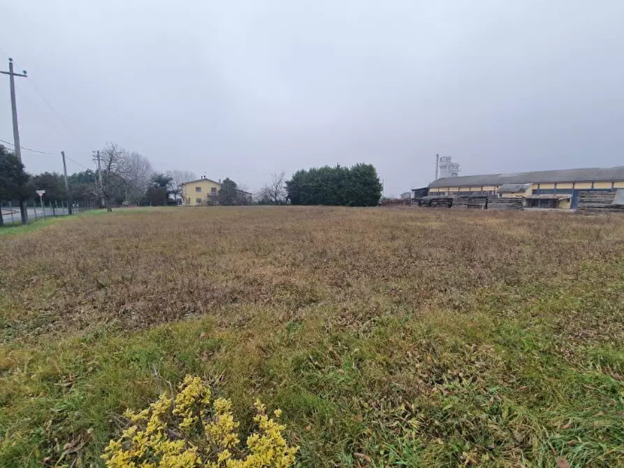 Immagine 2 di Terreno edificabile in vendita  in Via Aurelio Gobetti a San Pietro Di Morubio