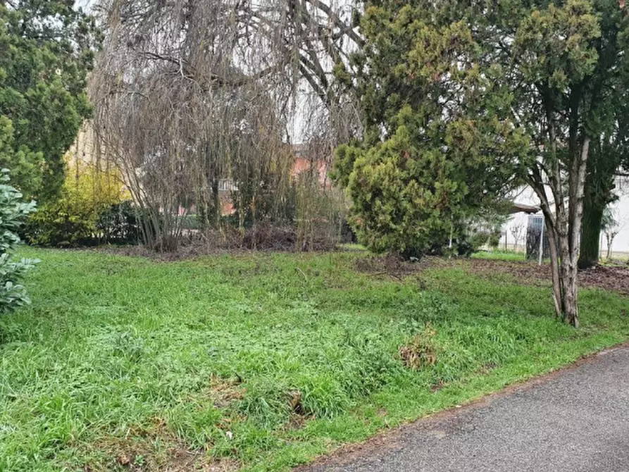Immagine 1 di Terreno edificabile in vendita  in Via Alcide de Gasperi a San Pietro Di Morubio