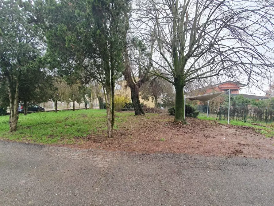 Immagine 3 di Terreno edificabile in vendita  in Via Alcide de Gasperi a San Pietro Di Morubio