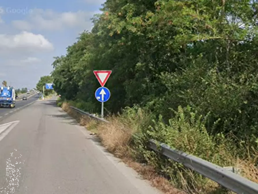 Immagine 8 di Terreno agricolo in vendita  in Via Pontina a Roma