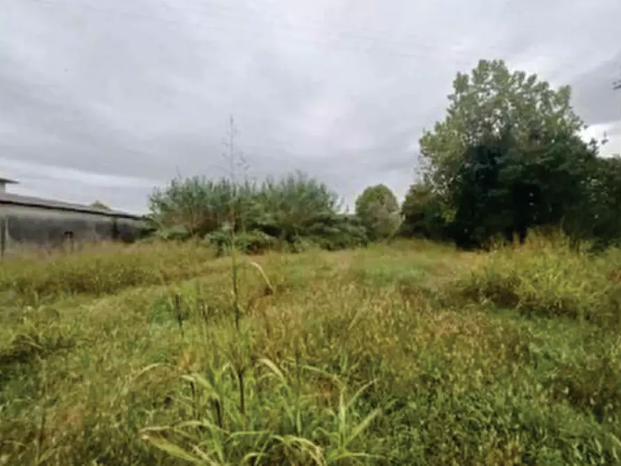 Immagine 12 di Villa in vendita  in Via Roncade a San Biagio Di Callalta