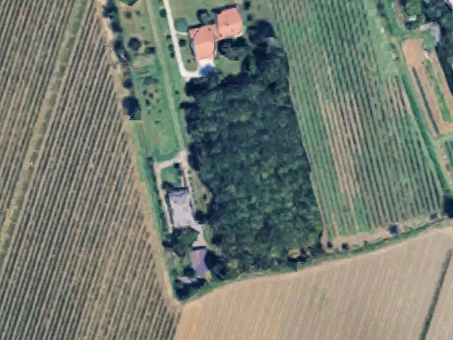 Immagine 22 di Villa in vendita  in Via Roncade a San Biagio Di Callalta