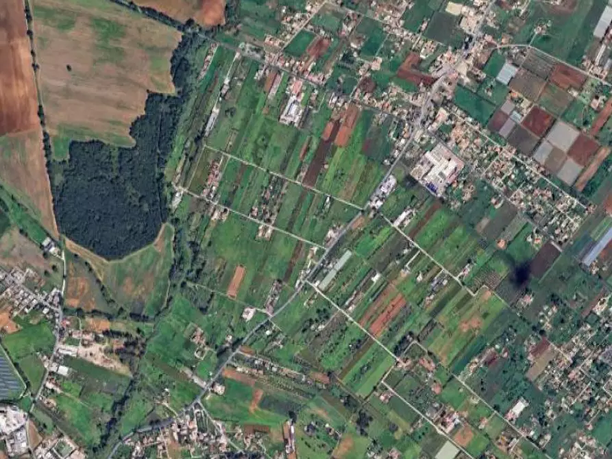 Immagine 5 di Terreno agricolo in vendita  in Via Ragusa a Nettuno