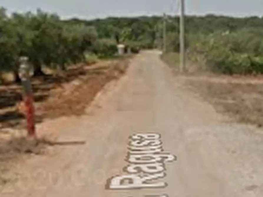 Immagine 6 di Terreno agricolo in vendita  in Via Ragusa a Nettuno