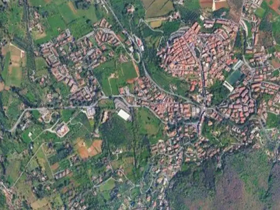 Immagine 1 di Terreno agricolo in vendita  in Via delle Cappellette a Monte Porzio Catone