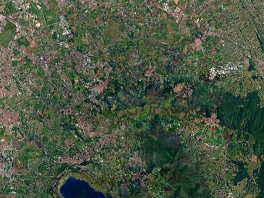 Immagine 3 di Terreno agricolo in vendita  in Via delle Cappellette a Monte Porzio Catone