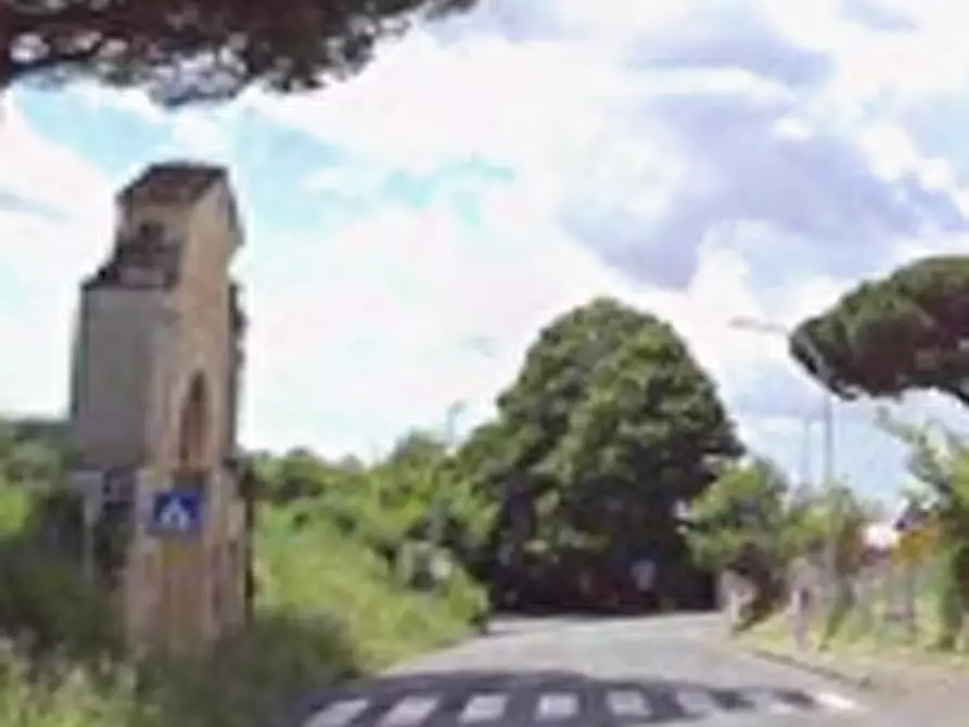 Immagine 4 di Terreno agricolo in vendita  in Via delle Cappellette a Monte Porzio Catone