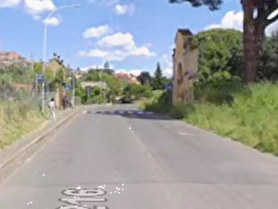 Immagine 5 di Terreno agricolo in vendita  in Via delle Cappellette a Monte Porzio Catone