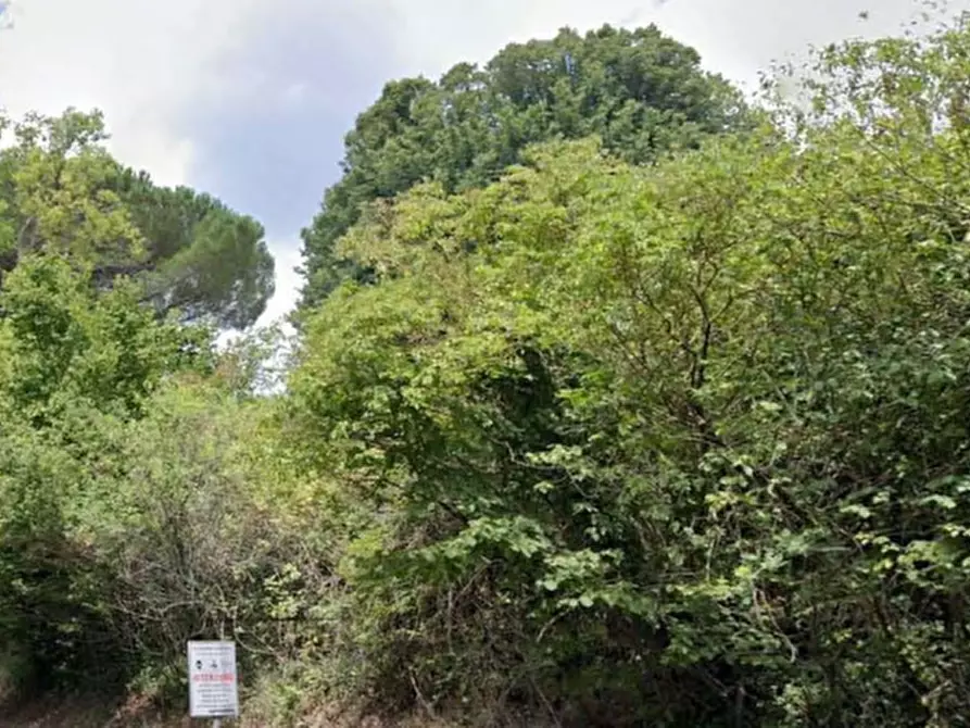Immagine 2 di Terreno agricolo in vendita  in Via dei Laghi a Velletri
