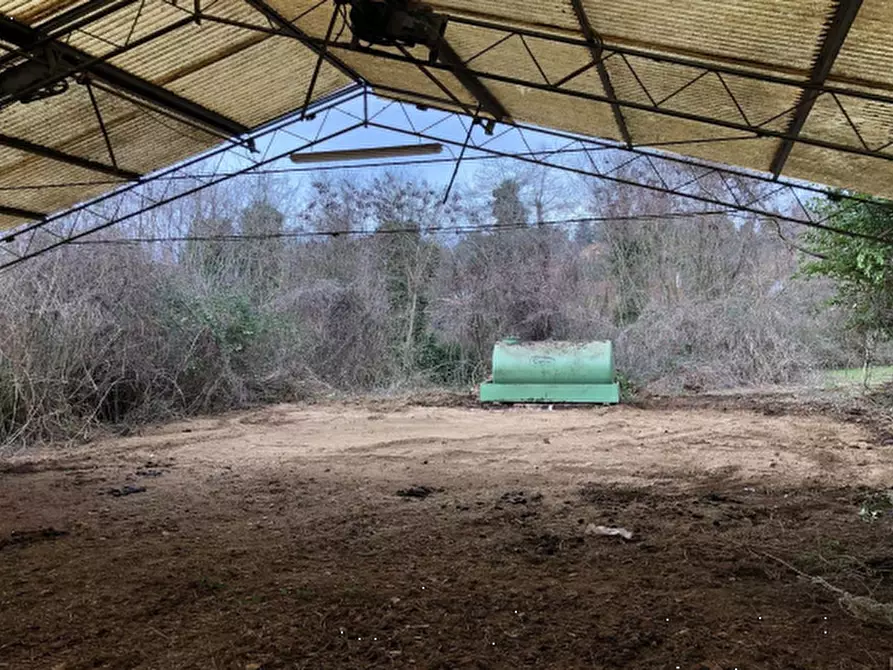 Immagine 4 di Terreno agricolo in vendita  in Via dei Laghi a Velletri