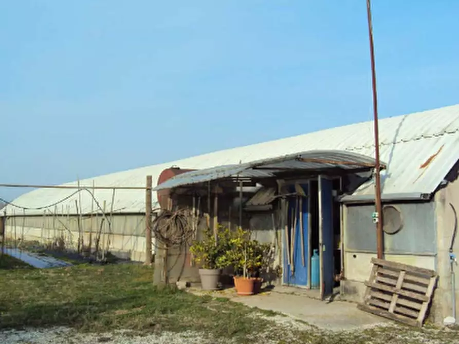 Immagine 3 di Capannone industriale in vendita  in Via Castella a Mansuè