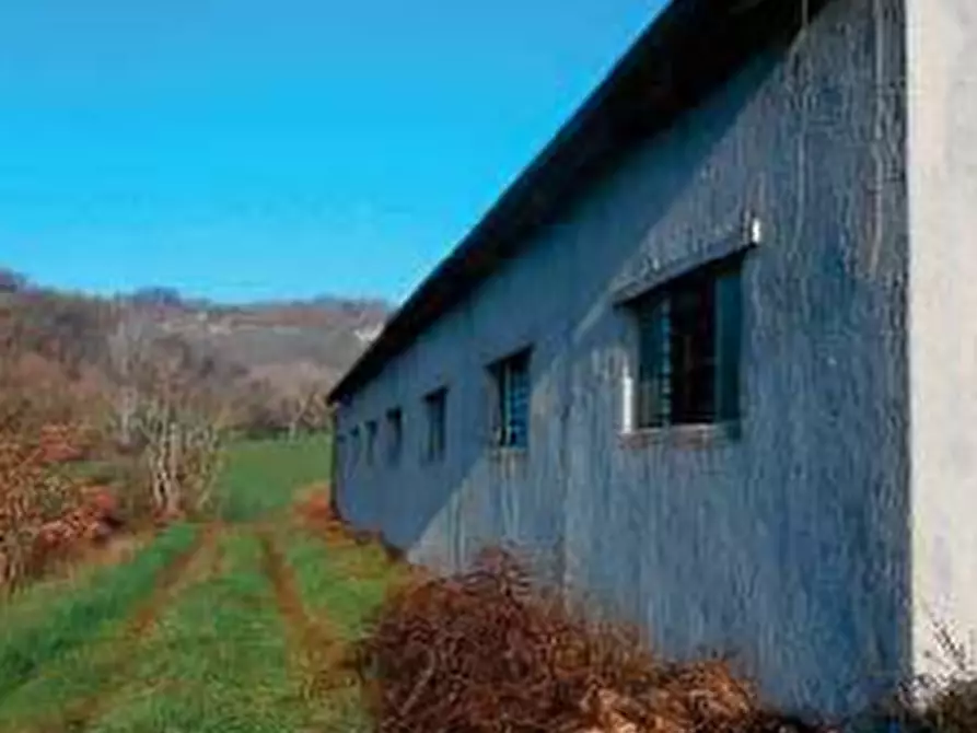 Immagine 1 di Capannone industriale in vendita  in Via Ca Rio a Tavoleto