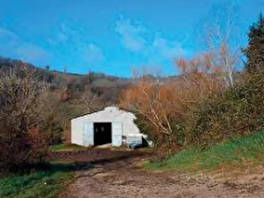 Immagine 4 di Capannone industriale in vendita  in Via Ca Rio a Tavoleto