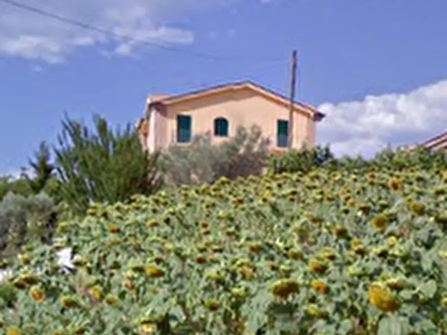 Immagine 18 di Appartamento in vendita  in Contrada Palombara a Montegiorgio