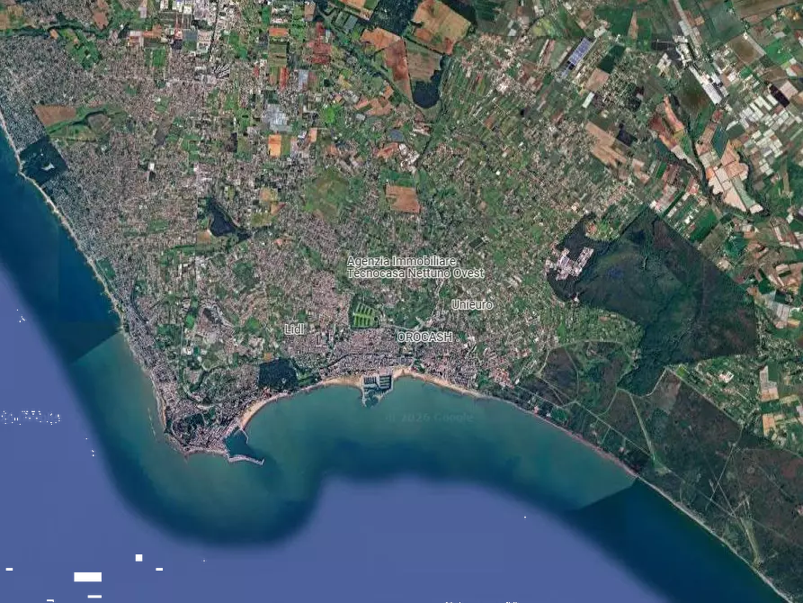 Immagine 9 di Magazzino in vendita  in Via Santa Maria a Nettuno