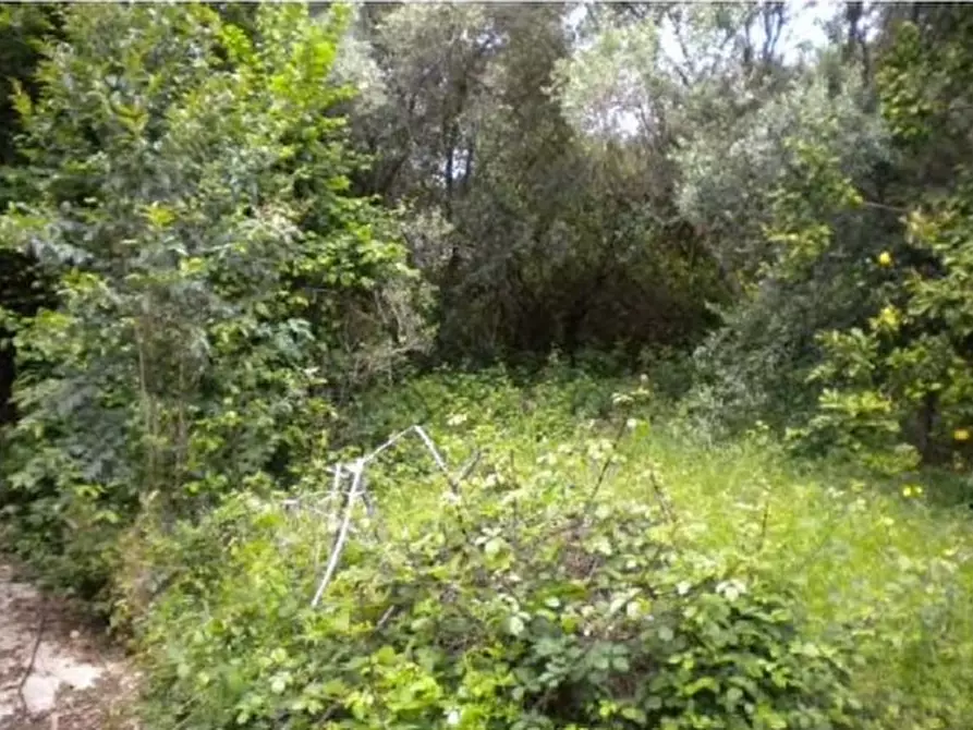 Immagine 7 di Villa in vendita  in Via Paganico a Velletri