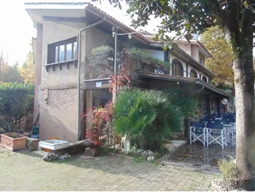 Immagine 4 di Negozio in vendita  in Via Maremmana III a Montecompatri