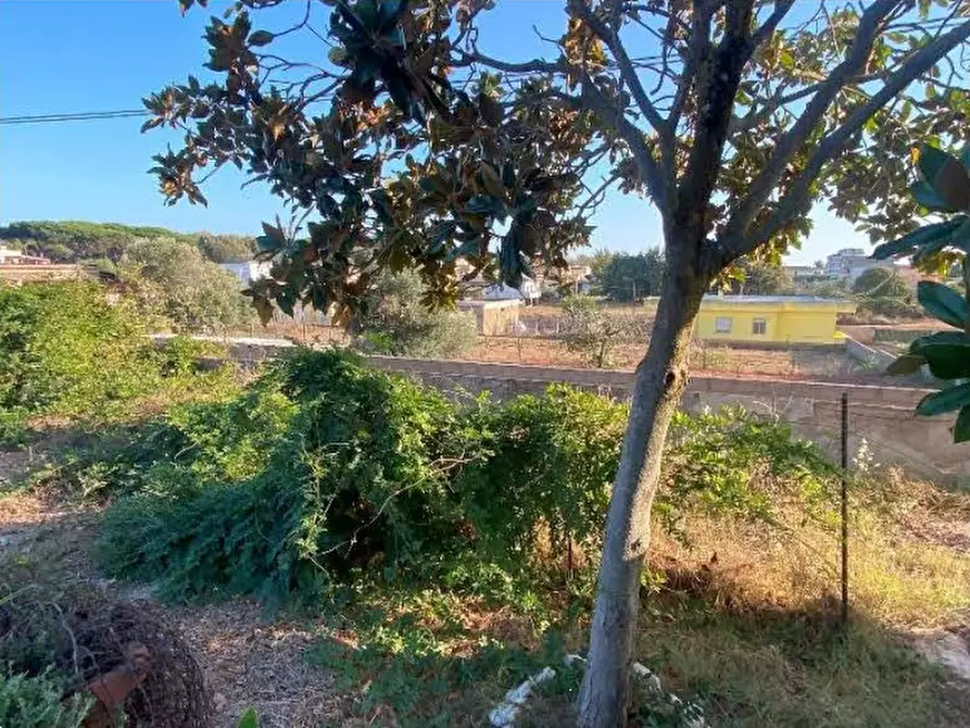 Immagine 25 di Villa in vendita  in Via jenne a Anzio