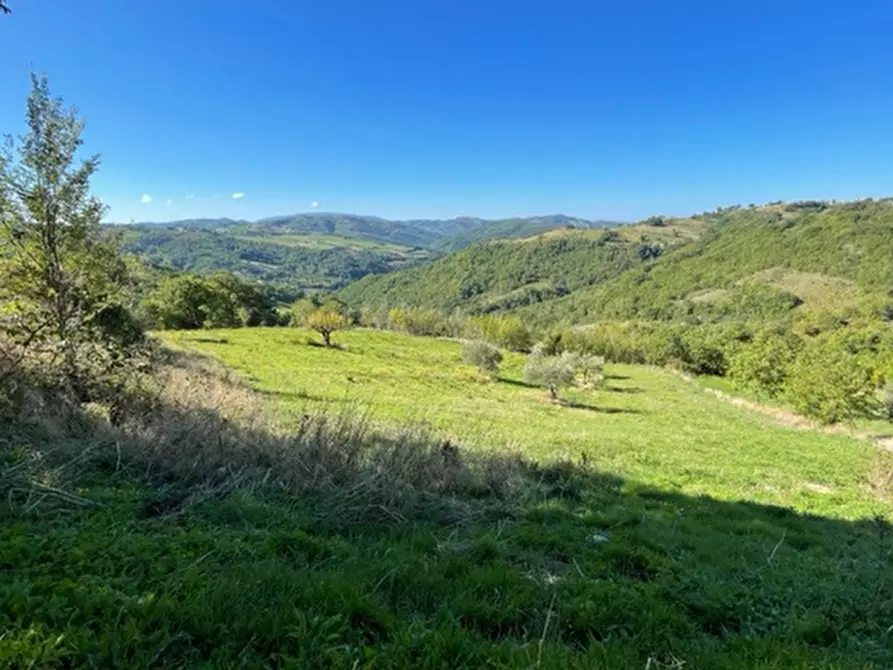 Immagine 2 di Terreno agricolo in vendita  in Località Traforato a Gualdo Tadino