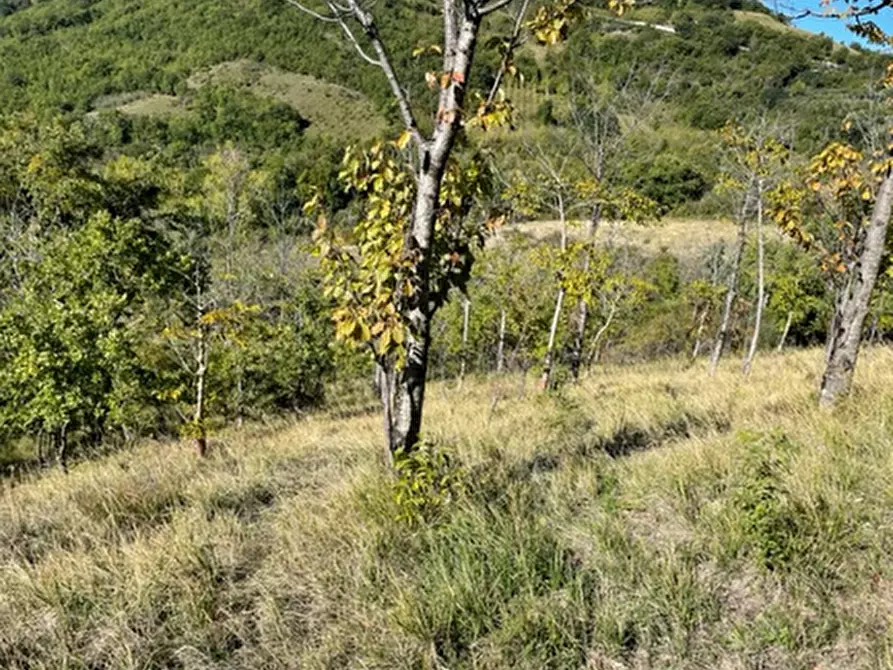 Immagine 3 di Terreno agricolo in vendita  in Località Traforato a Gualdo Tadino