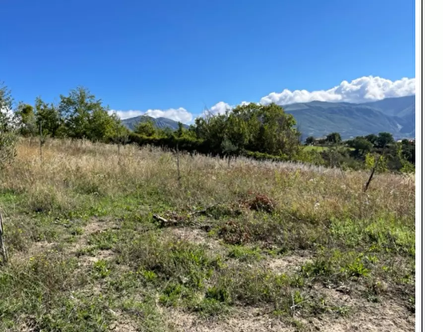 Immagine 5 di Terreno agricolo in vendita  in Località Traforato a Gualdo Tadino