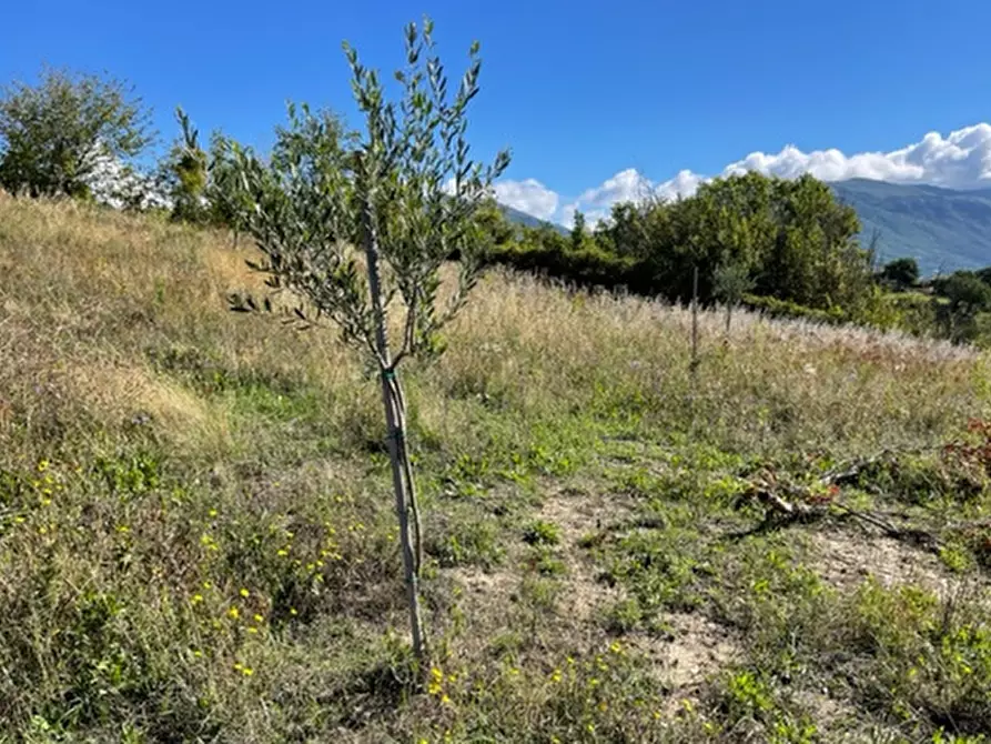 Immagine 6 di Terreno agricolo in vendita  in Località Traforato a Gualdo Tadino