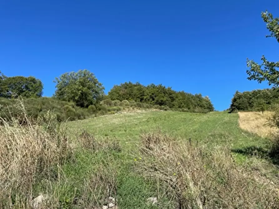 Immagine 7 di Terreno agricolo in vendita  in Località Traforato a Gualdo Tadino