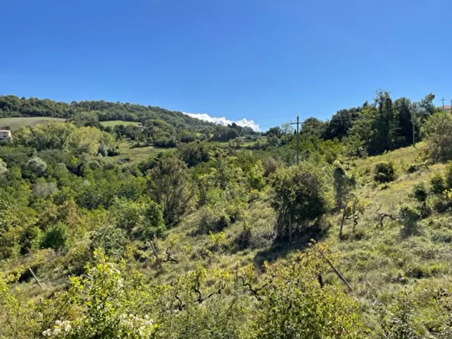 Immagine 8 di Terreno agricolo in vendita  in Località Traforato a Gualdo Tadino